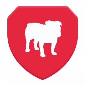 BullGuard VPN